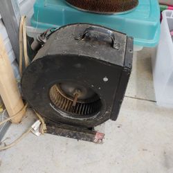 Shop Squirrel Cage Fan