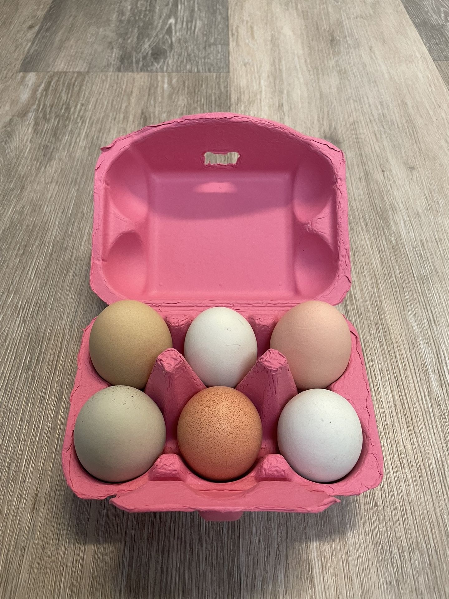Farm Fresh Rainbow Eggs