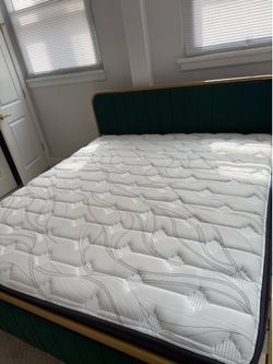 Bed + Mattress