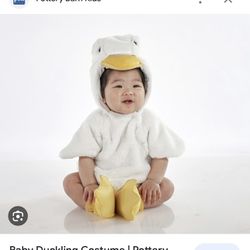 POTTERYBARN BABY DUCK COSTUME RETAIL $69