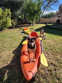 Family kayak Deal