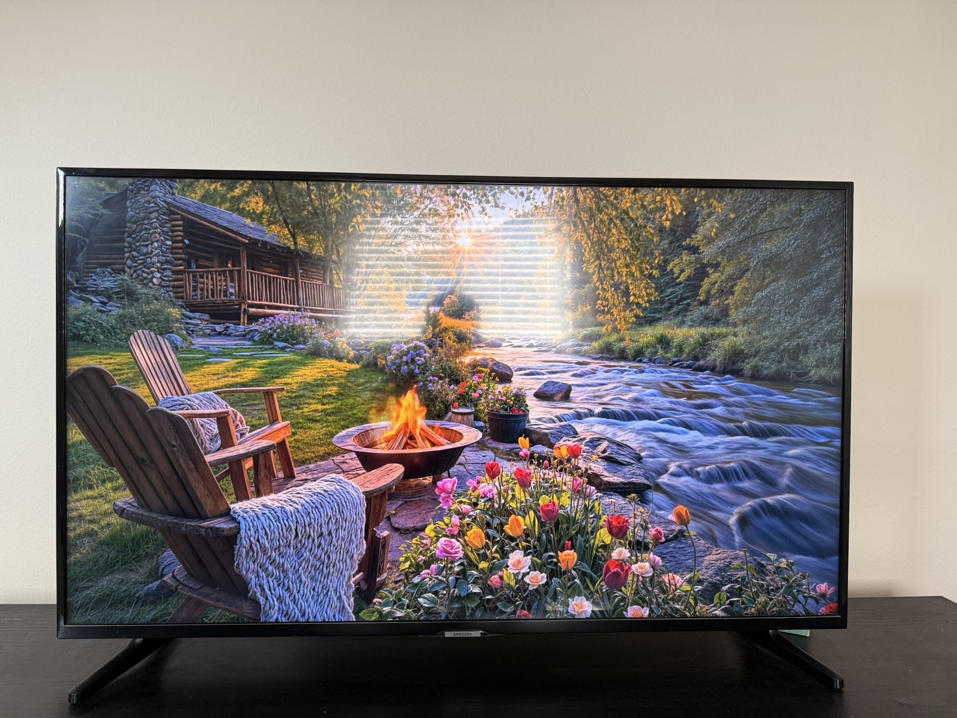 Samsung Smart TV (43”)