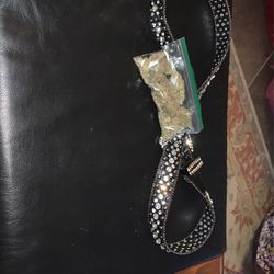 Belt Watch Shoes Or Grillz