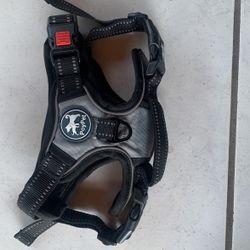 Medium Size Dog 🐶 Harness