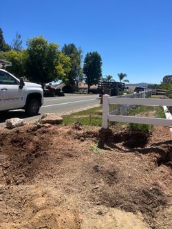 🦫Stump grinding🪵Tree trimming