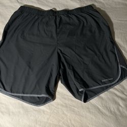 Grey Patagonia Shorts 