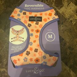 Lucy & Co. The Let's Groove Reversible Dog Harness, Medium