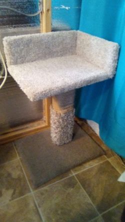 Cat Laying Bed Perch 