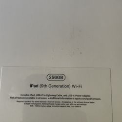 Ipad 256 Gigs 