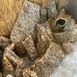 Cork Bark Terrarium