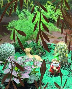Mini garden elf 🌲