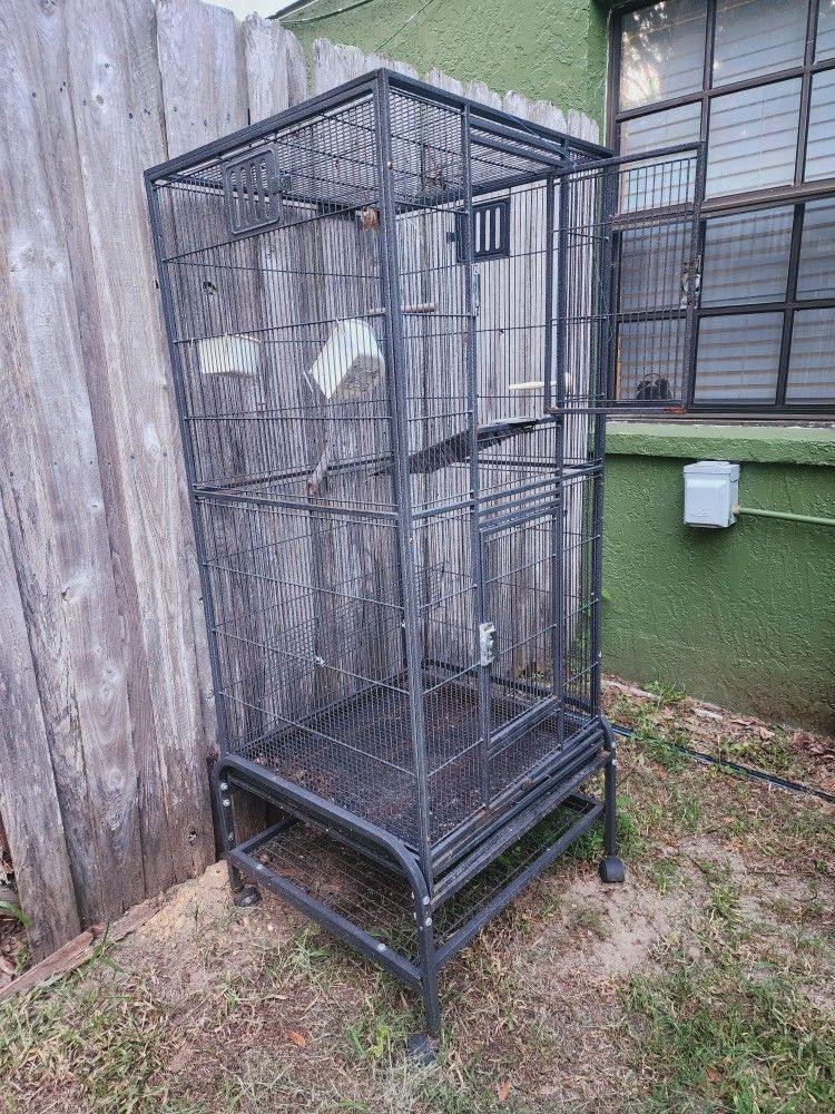 Big Bird Cage