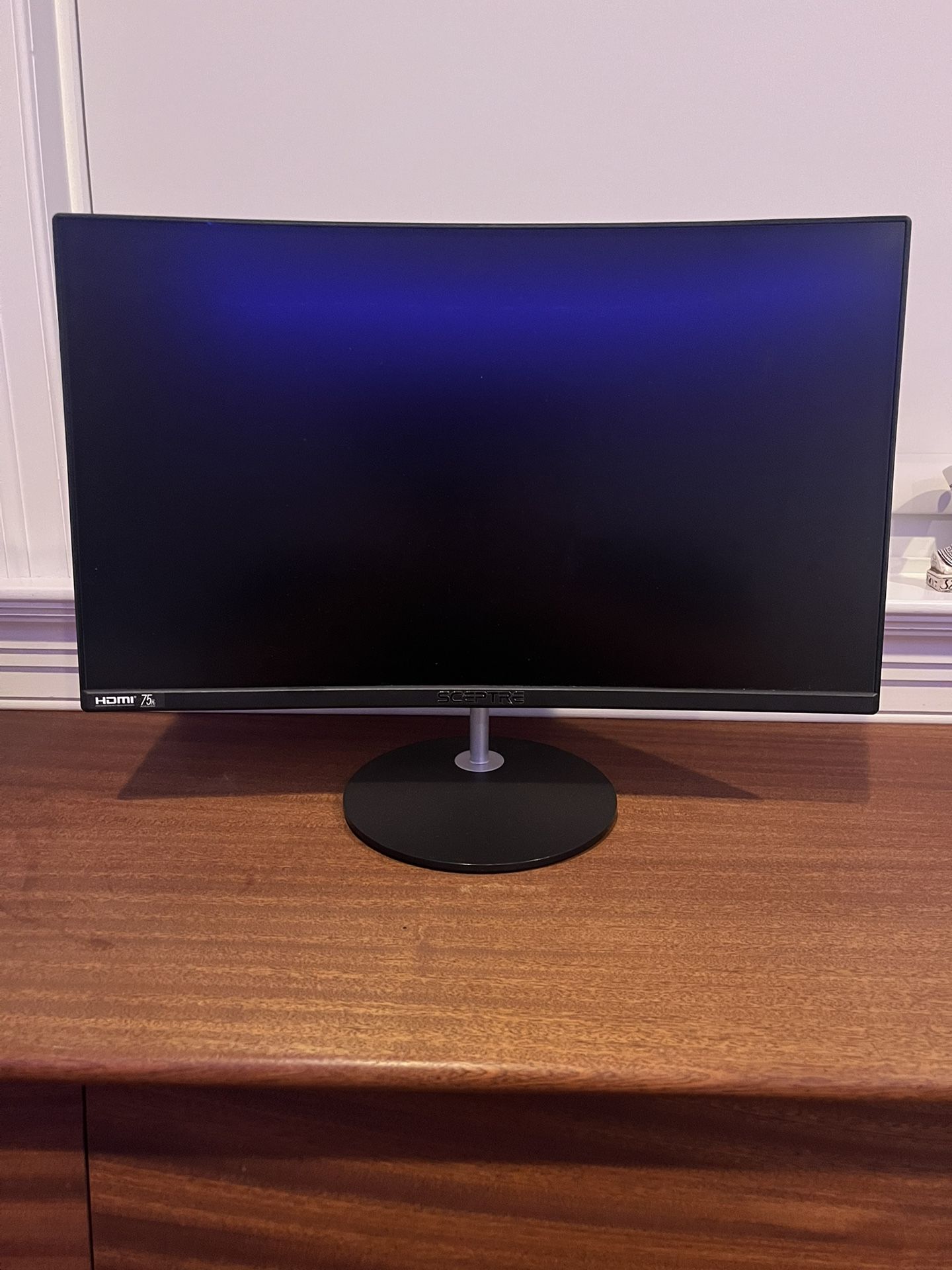 Sceptre Monitor 24 Inches