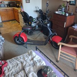 PHAT SCOOTER  