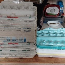 Egg Cartons 