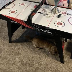 Connect 4 Hoops And Air hockey Table