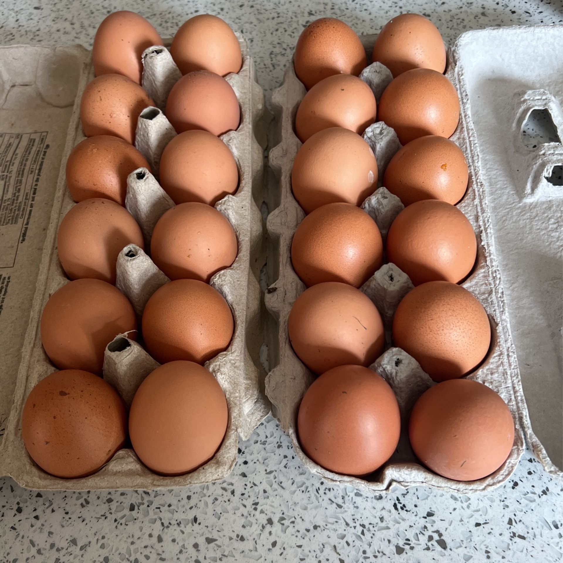 Organic Eggs 