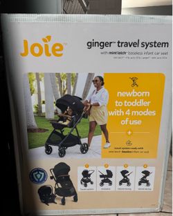 Joie ginger travel system