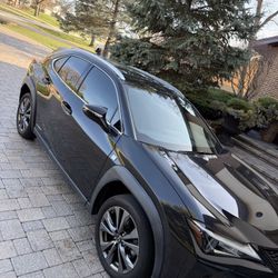 2019 Lexus UX 250h