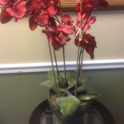 Silk plants and Accessories