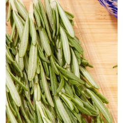 Rosemary Fresh 