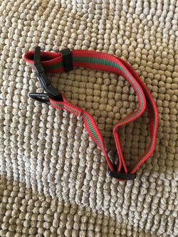 Large gently used dog collar