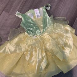 Disney Princess Tiana