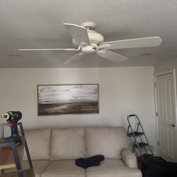 Free 48in White Ceiling Fan W/remote