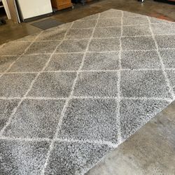 Large Beautiful Area Rug