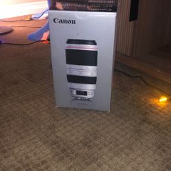 Canon EF 100-400mm IS II USM