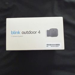 Blink outdoor camera and echo show 5