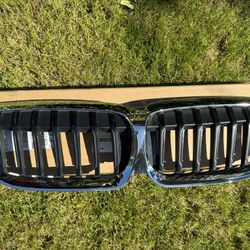 2019 BMW Grill 
