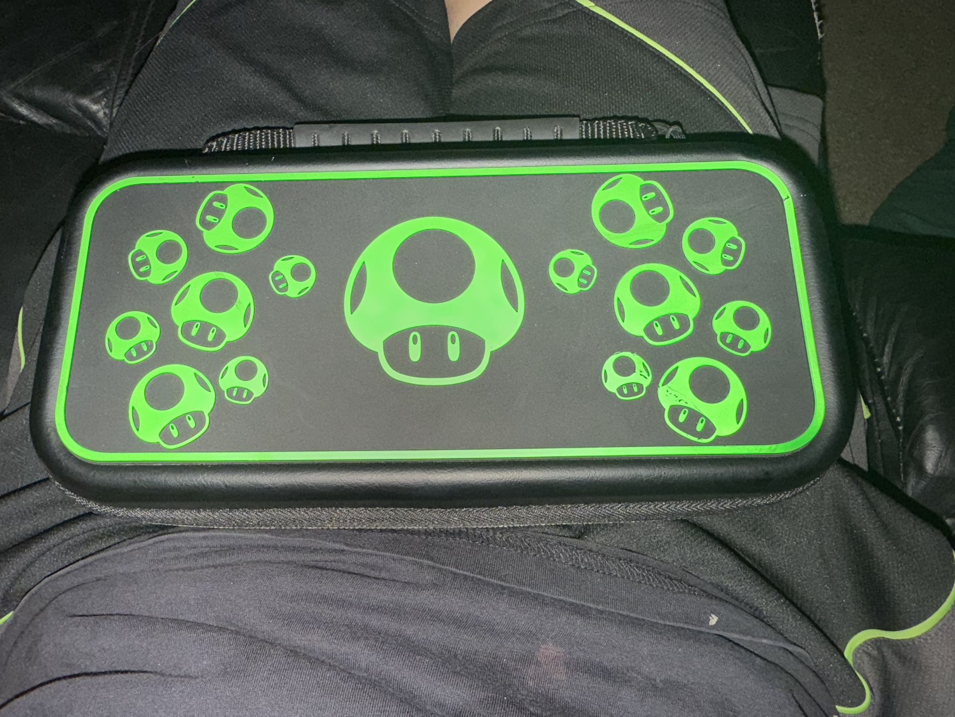 Nintendo Switch Case