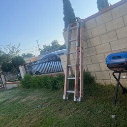 12ft Latter