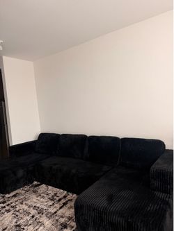 New couch and rug!