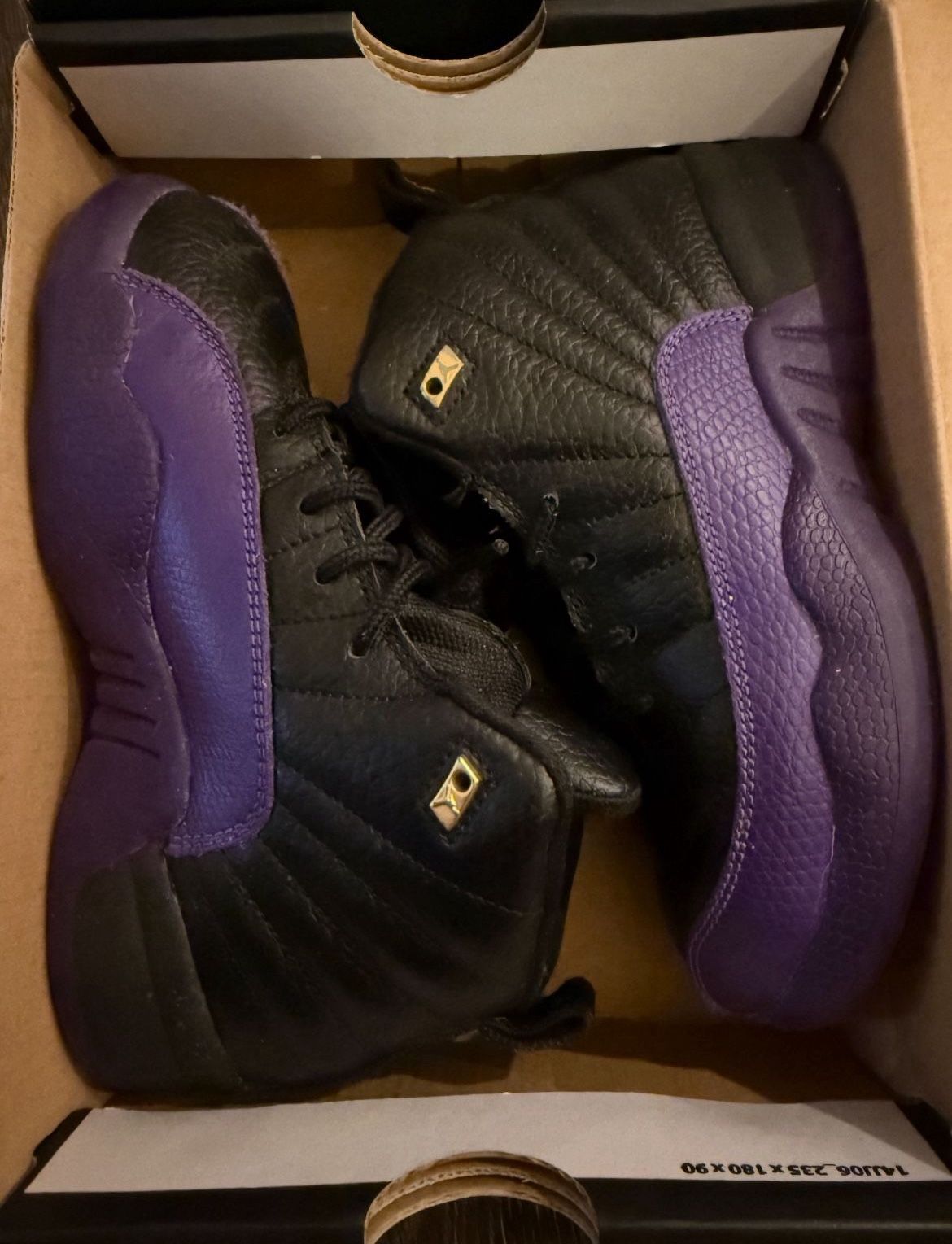 Jordan Retro 12 Little Kids 13c