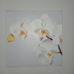 Flower Paintings