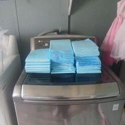 Dog Pads 
