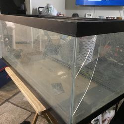 50 Gallon Tank