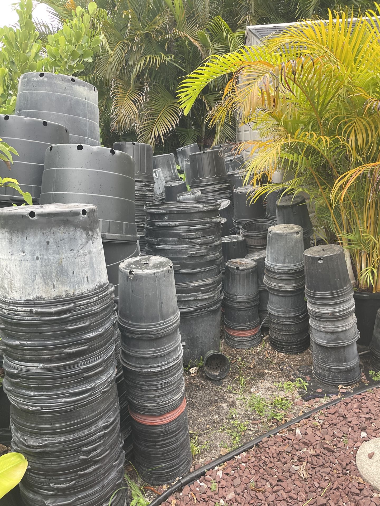 Nursery Pots 3 G $0,50 7 G $2