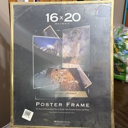  NEW 16x20 POSTER FRAME 