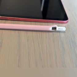 10th Generation iPad Pink 