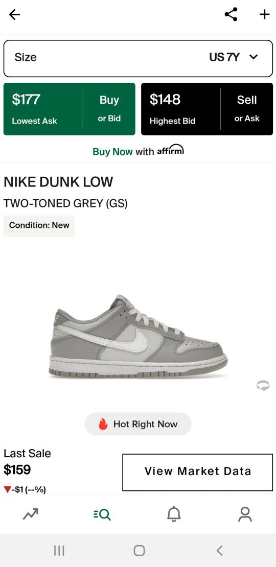 Dunk Gs Two Tone Gray
