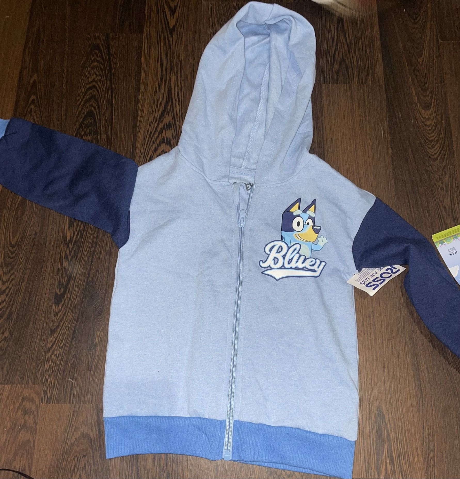 Bluey Hoodie