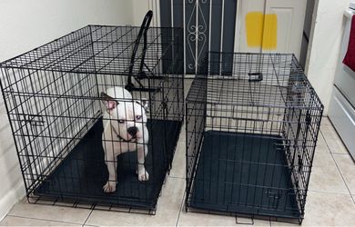 Dog Cage
