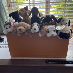 TY Beanie Baby’s