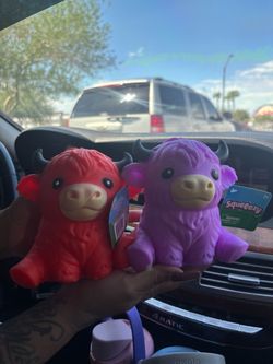 Highland squishy cows
