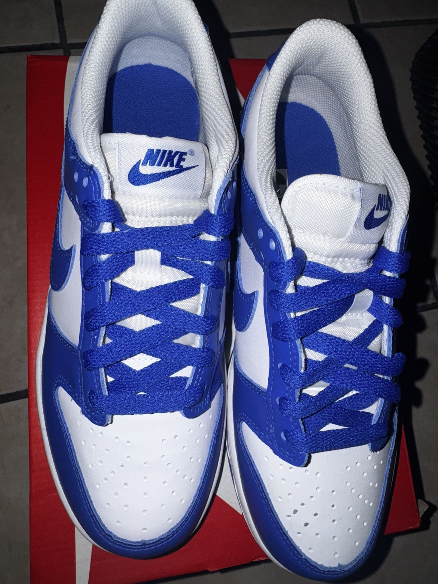 Youth Nike Dunk