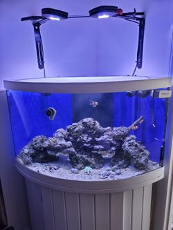 65 Gal Tank