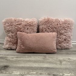 Pink Decorative Pillows with matching Blanket